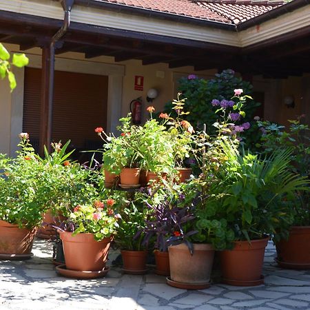 Hotel Arenas De Cabrales- Apartamentos エクステリア 写真