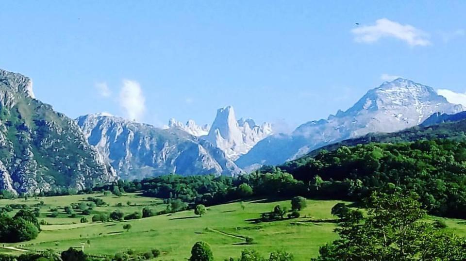 Hotel Arenas De Cabrales- Apartamentos エクステリア 写真