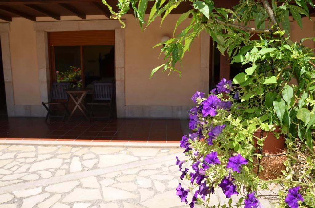 Hotel Arenas De Cabrales- Apartamentos エクステリア 写真
